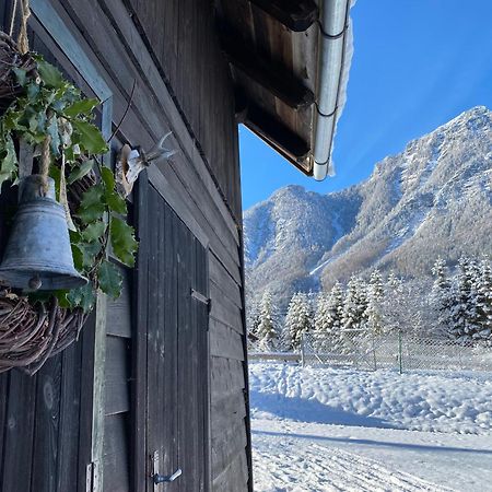 Chalet Am Weissenbach Hinterstoder Exterior photo
